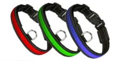 Chien Soldes -Chien Soldes eyenimal rgb light collar 3 couleurs l 1 1